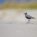 唐楚楚与江辰小说全文免费读 713aq