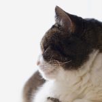 三级片自拍电影 f8rkq8eu9p