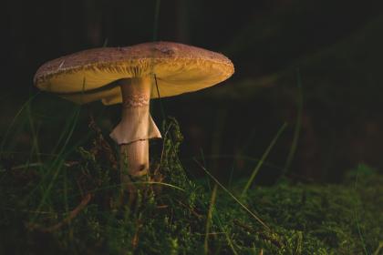 下一站是幸福免费观看 下一站是幸福免费观看