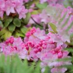 三级视频网址在线看 v7wmz0slii