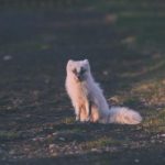 三级片在线视频 y9rp5meysj
