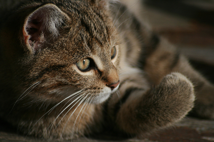 哥哥去|不要慢点…哪里会坏掉的 哥哥去|不要慢点…哪里会坏掉的
