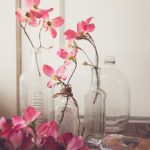 免费看剧网站影视大全:畅享海量影视资源,尽在指尖轻松观看 bs3kh