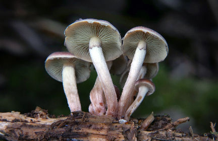 如何有效破解7z文件密码的实用技巧与方法 如何有效破解7z文件密码的实用技巧与方法