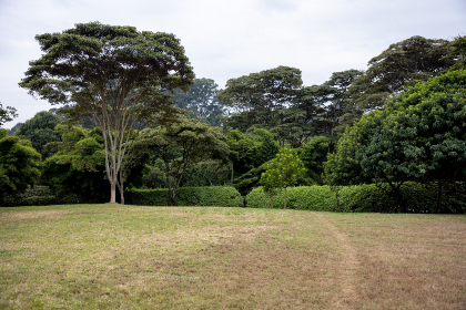 啾咪漫画:探索可爱角色背后的温暖故事与情感世界 啾咪漫画:探索可爱角色背后的温暖故事与情感世界