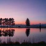 两个bt里面有高清的:探索高质量资源的最佳选择与推荐 wgks62z