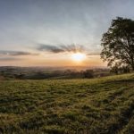 探索成人趣味:如何在TikTok上找到最受欢迎的Penny视频 fj2pit1gk